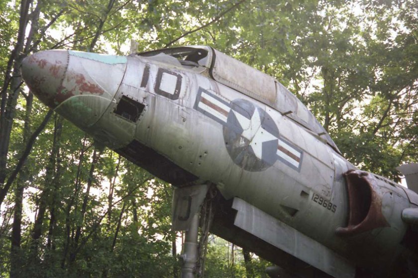 plane in woods